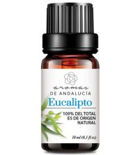 Aceite Esencial Natural Eucalipto | 10 ml